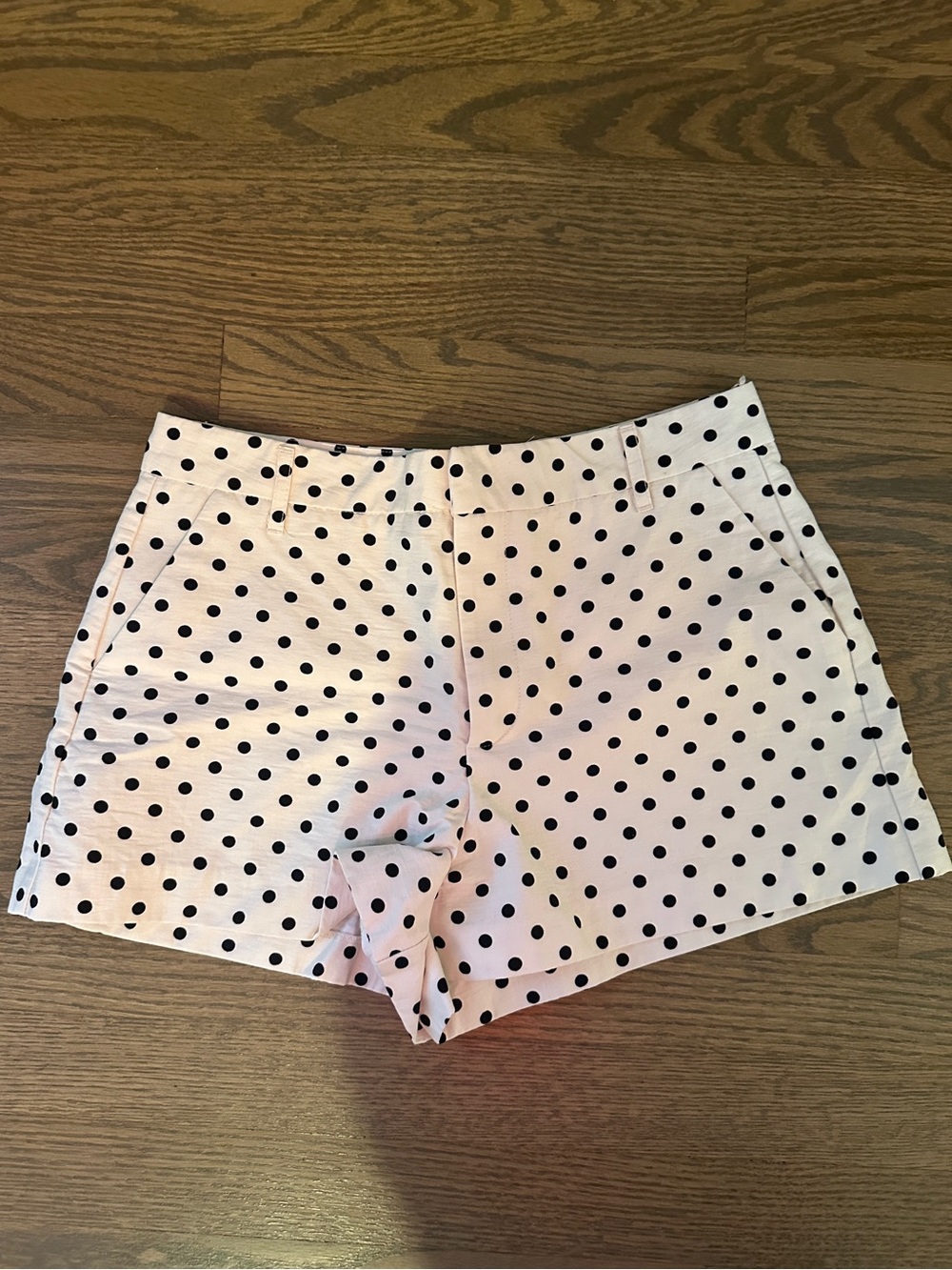 Zara Polka Dot Shorts